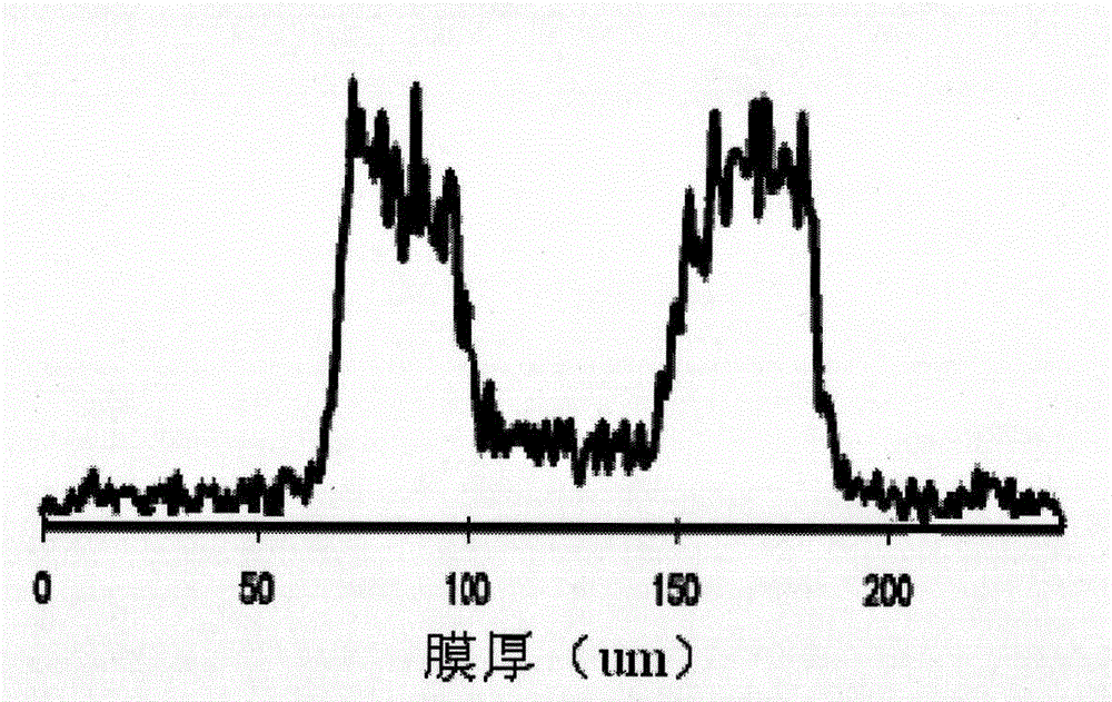 Proton exchange membrane and preparation method thereof