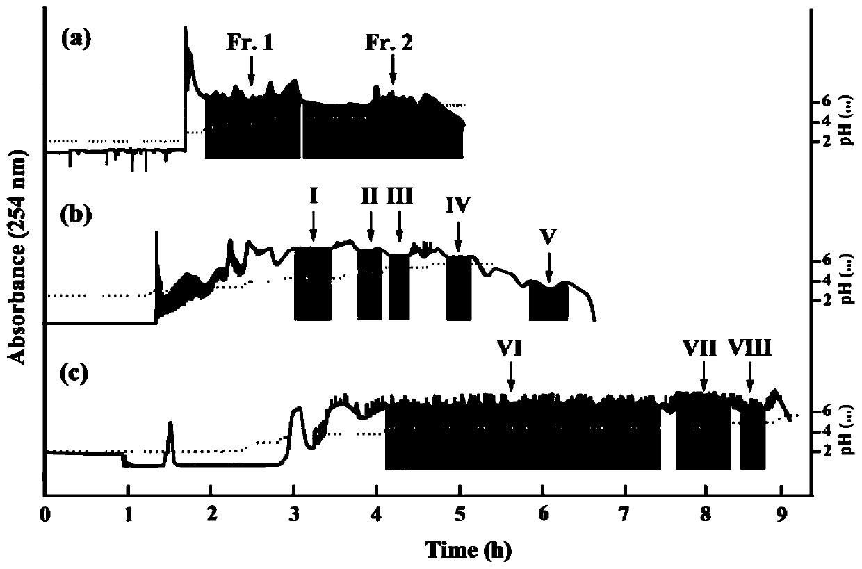 Separating preparation method of phenolic acid compounds in Echinacea purpurea