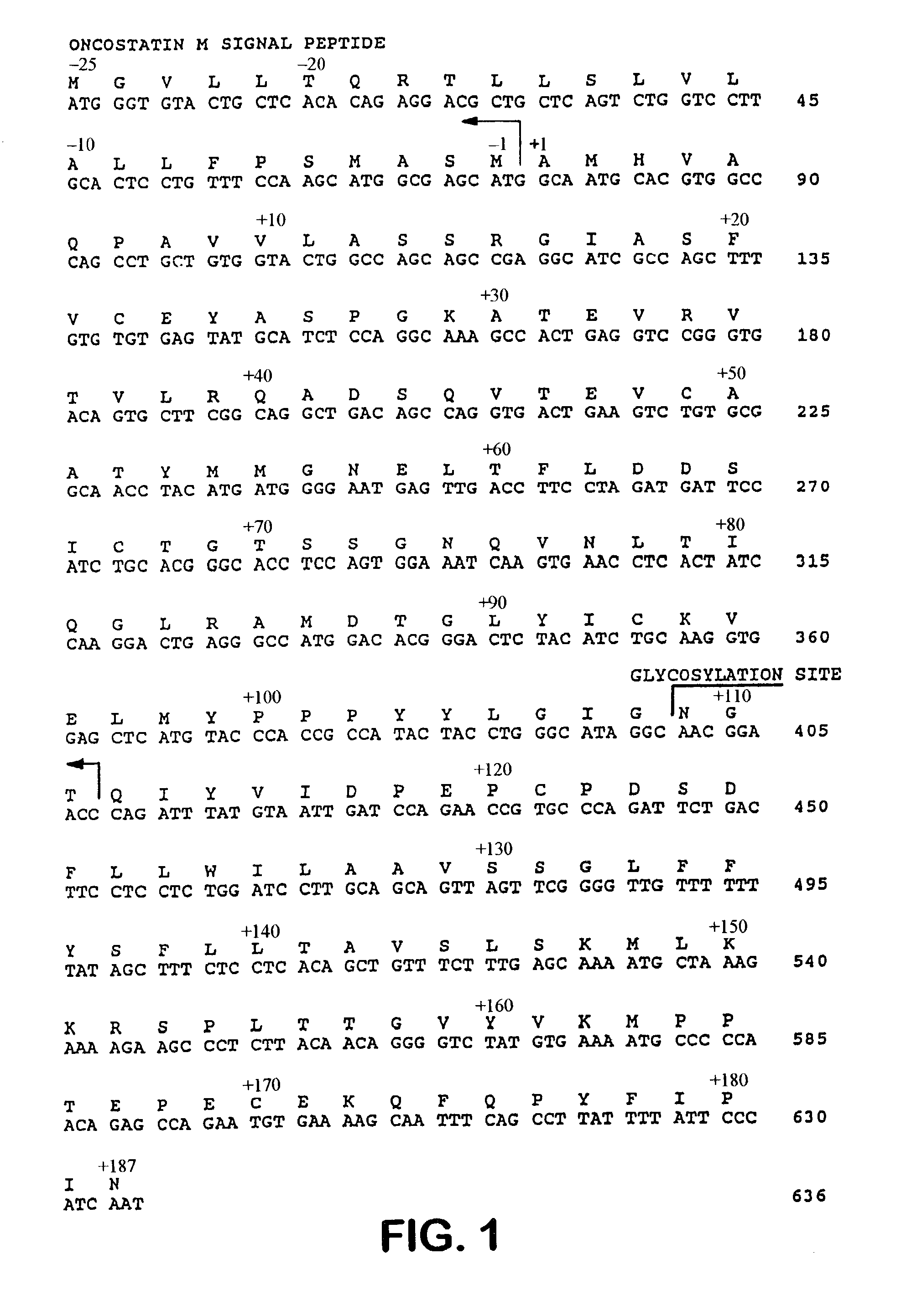 Methods for protecting allogeneic islet transplant using soluble CTLA4 mutant molecules