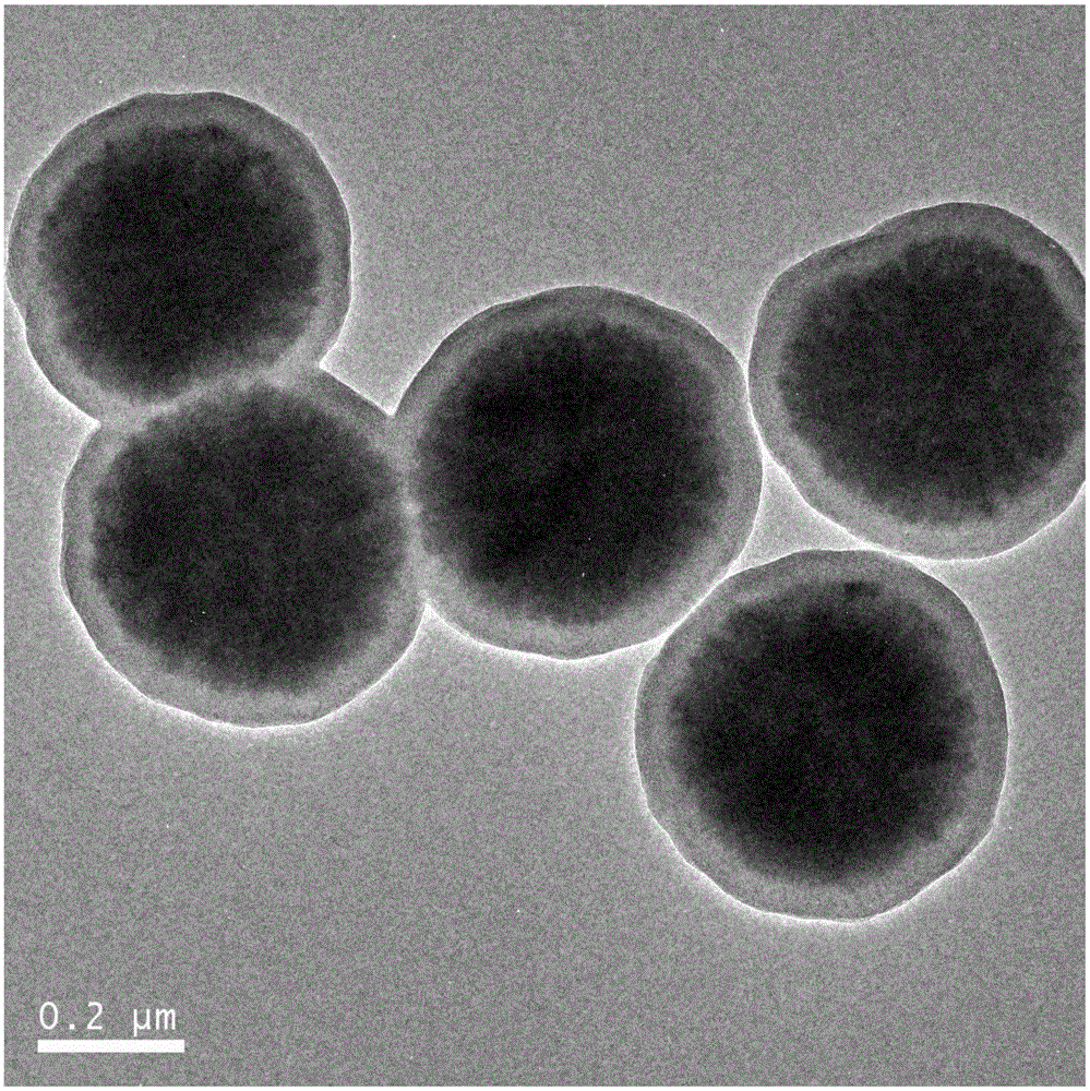 Monodisperse strong-magnetism immunologic nanoparticles and preparation method thereof