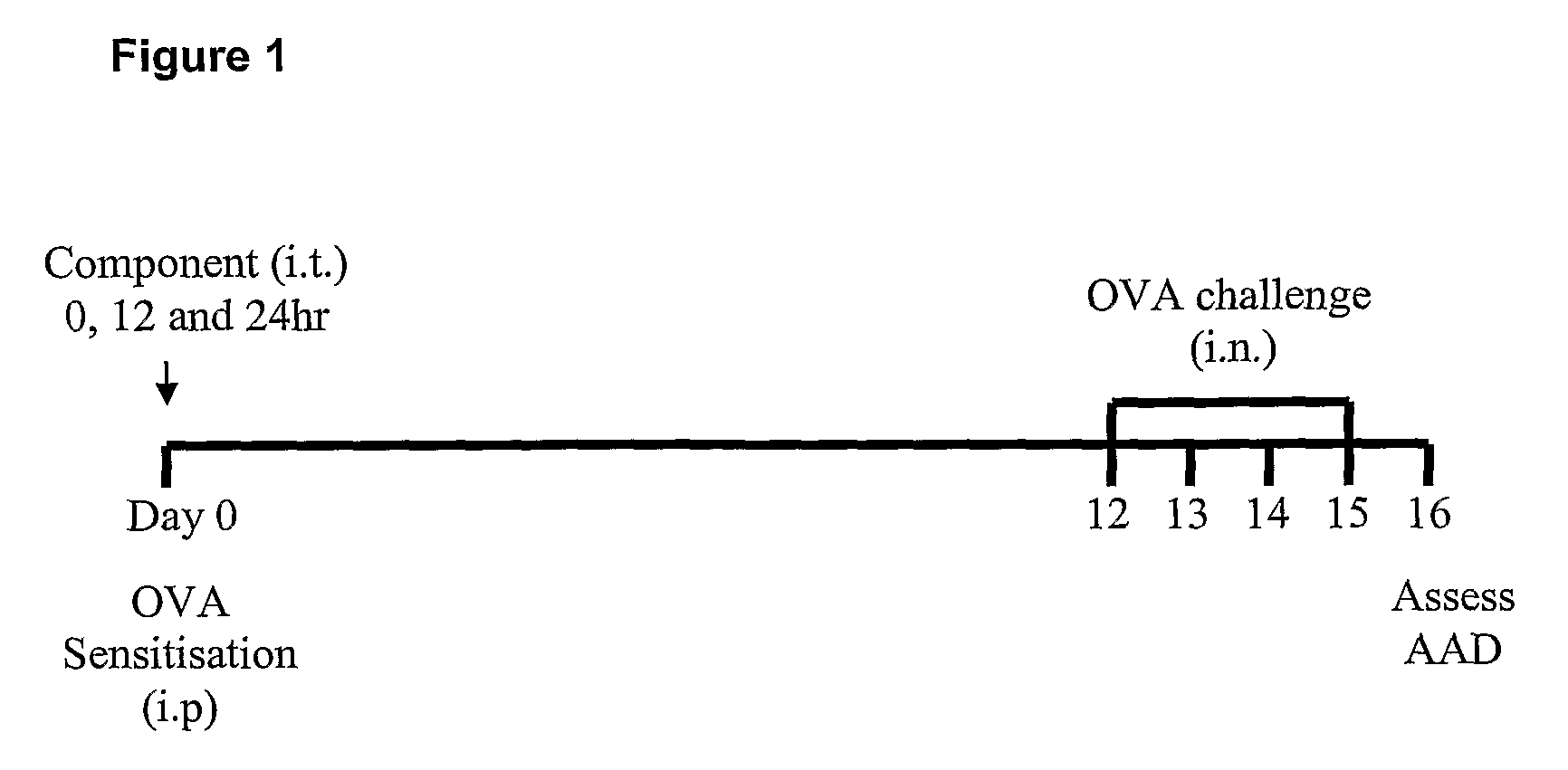 Vaccine compositions