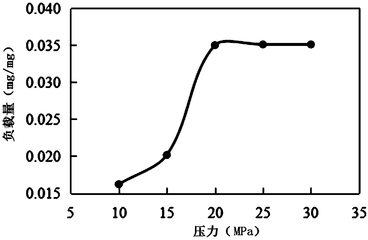 Method for conducting drug loading by adopting SC-CO2 (supercritical carbon dioxide) extraction device with GO (graphene oxide) or CNTs (carbon nano tubes) as carrier