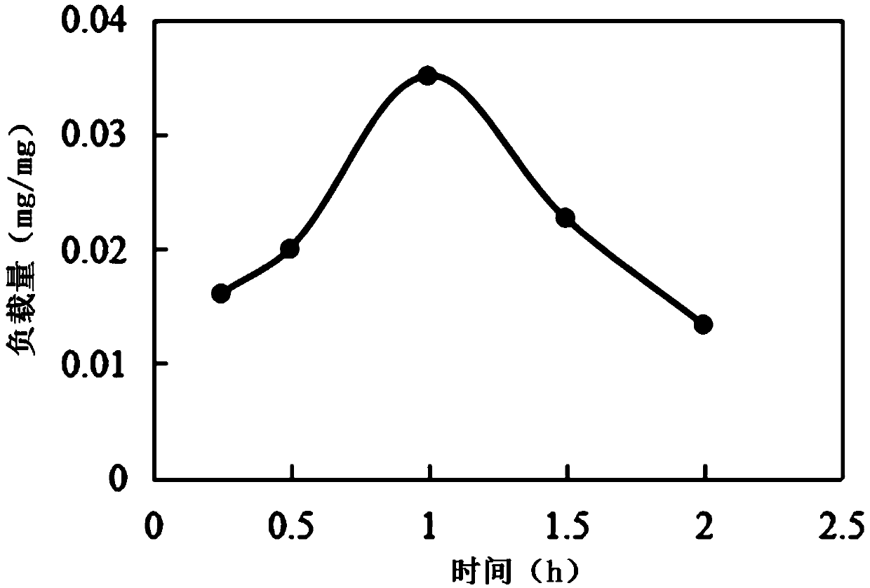 Method for conducting drug loading by adopting SC-CO2 (supercritical carbon dioxide) extraction device with GO (graphene oxide) or CNTs (carbon nano tubes) as carrier