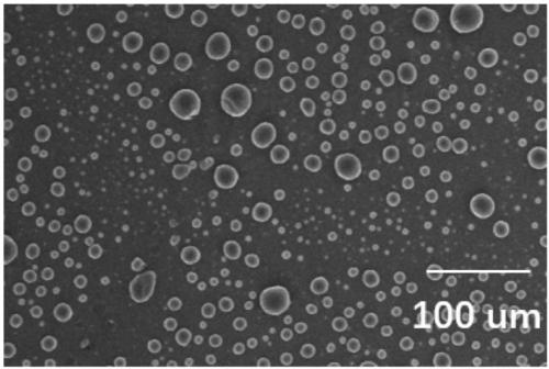 Latent light-sensitive microcapsule epoxy curing agent and preparation method thereof