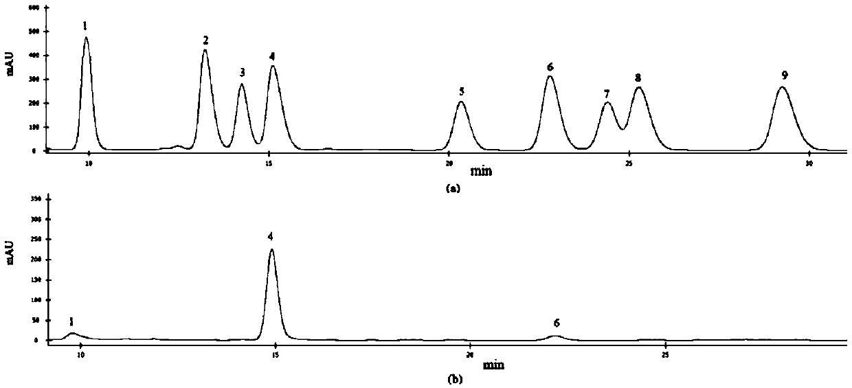 Mycelia polysaccharide of Nicotiana fumigatus and its preparation method and application