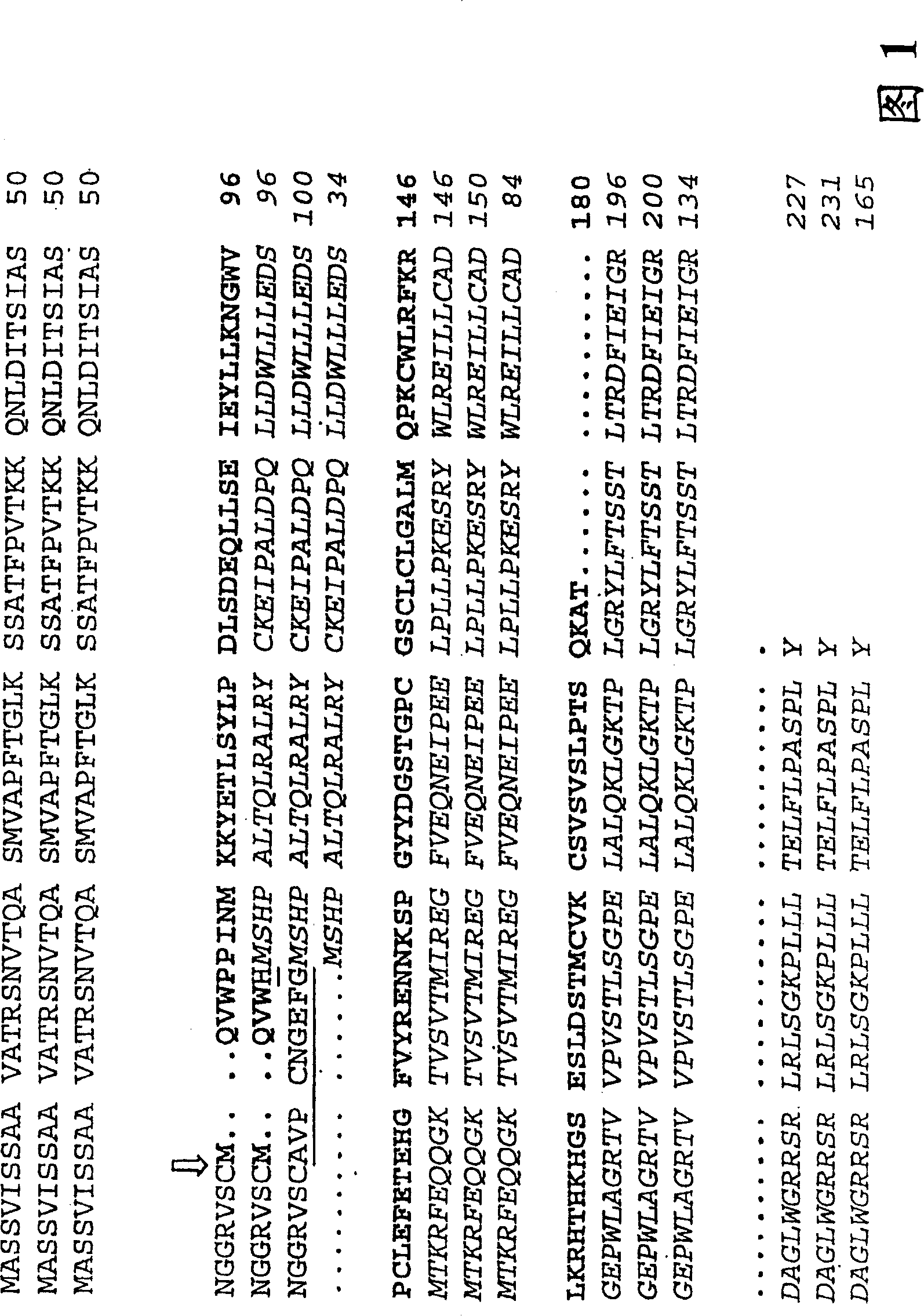 High level production of P-hydroxybenzoic acid in green plants