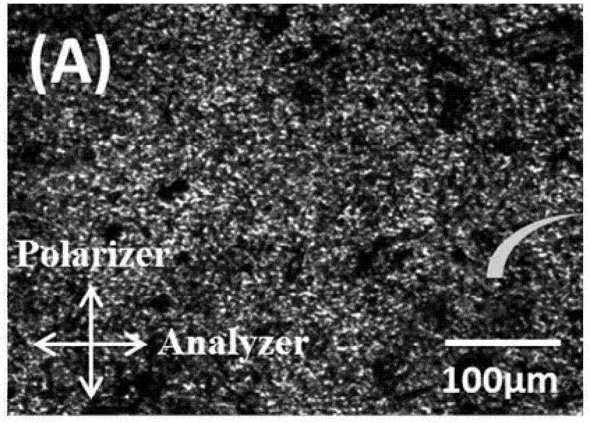 Polyaniline/liquid crystal elastomer composite film material and preparation method thereof