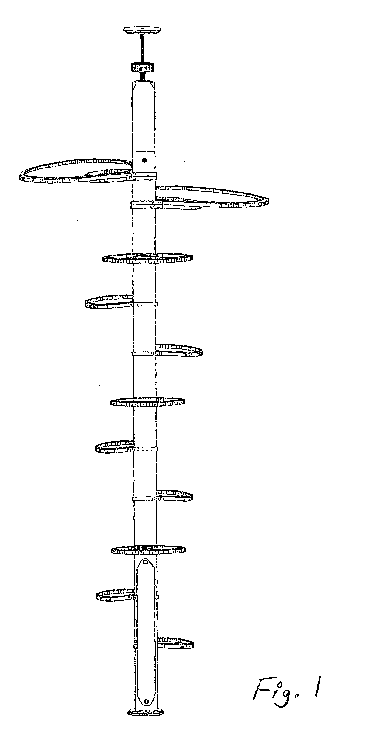 Exercise and perch system for domestic cats