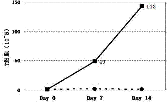 Biological membrane and preparation method and application thereof