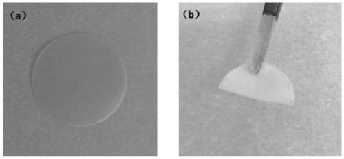 Reticular polymer, preparation method thereof, semi-interpenetrating network polymer electrolyte and polymer lithium battery