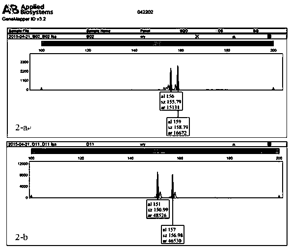 Primers for detection of cherry ssr markers