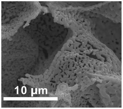 Preparation and application method of Cu-Ni based catalyst for reverse water gas reaction