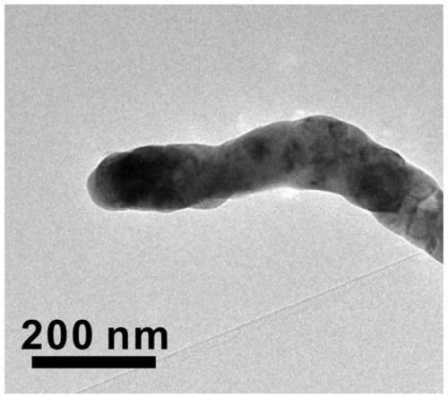 Preparation and application method of Cu-Ni based catalyst for reverse water gas reaction