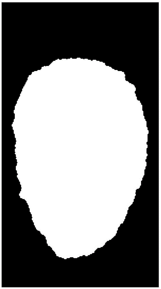 Access method and device for fingerprint mask image