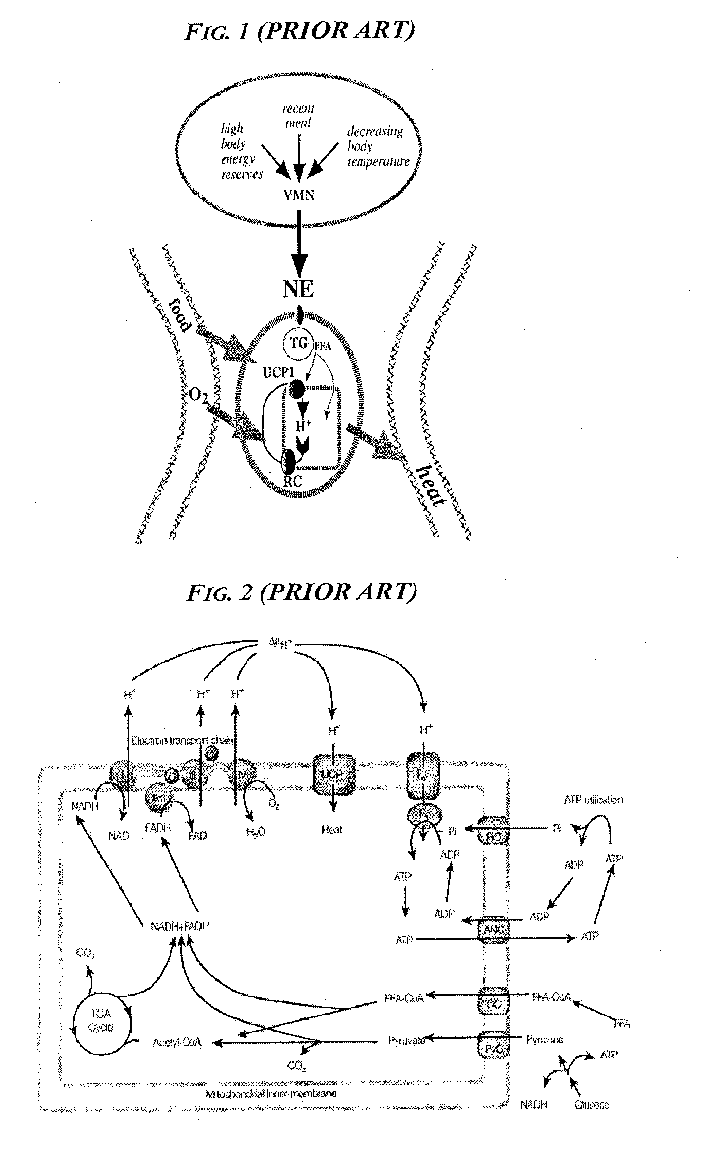 Methods and devices for activating brown adipose tissue with light