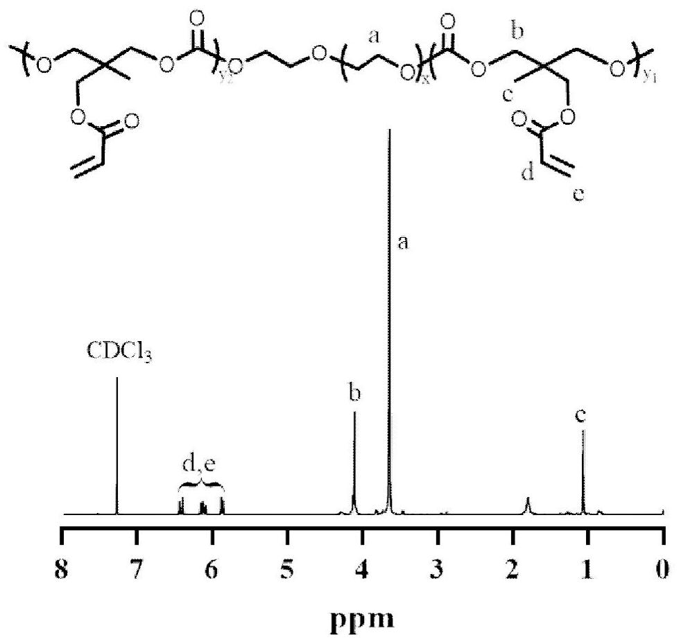 Glucose and H2O2 dual-response double-layer cross-linked polymer nano drug delivery system as well as preparation method and application thereof