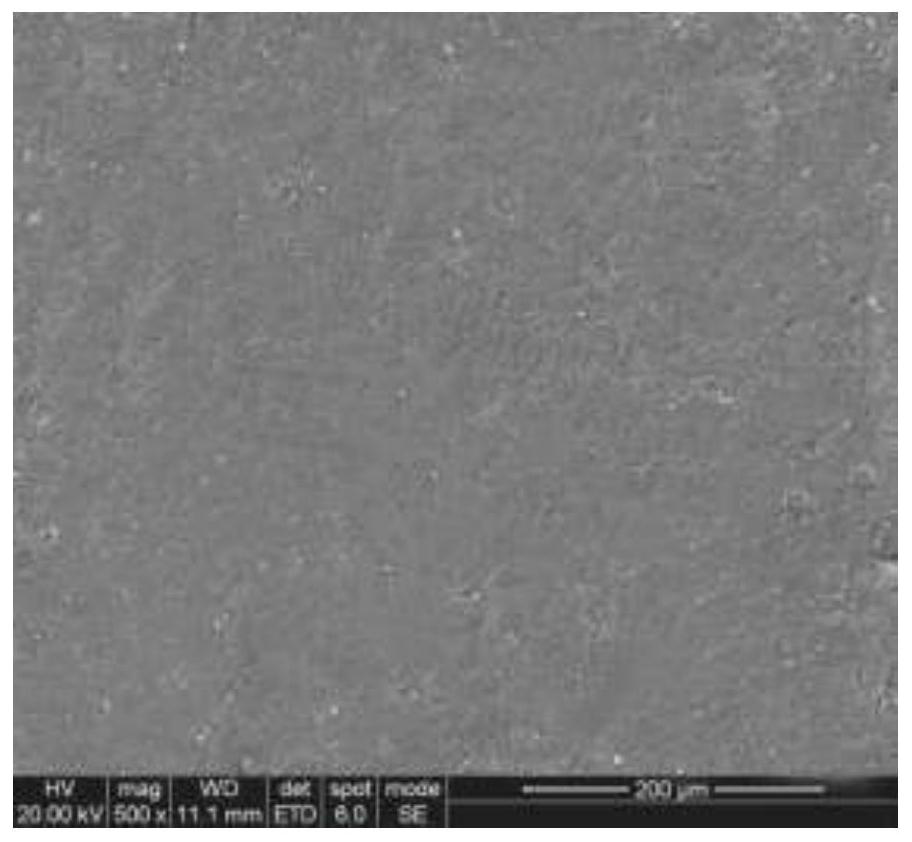 Consolidation preparation method of waterproof breathable layer material used for magnesium metal air battery