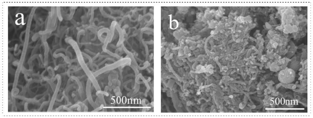 Cobalt disulfide/sulfide solid electrolyte composite positive electrode material coated with carbon nanotubes, and preparation method and application thereof