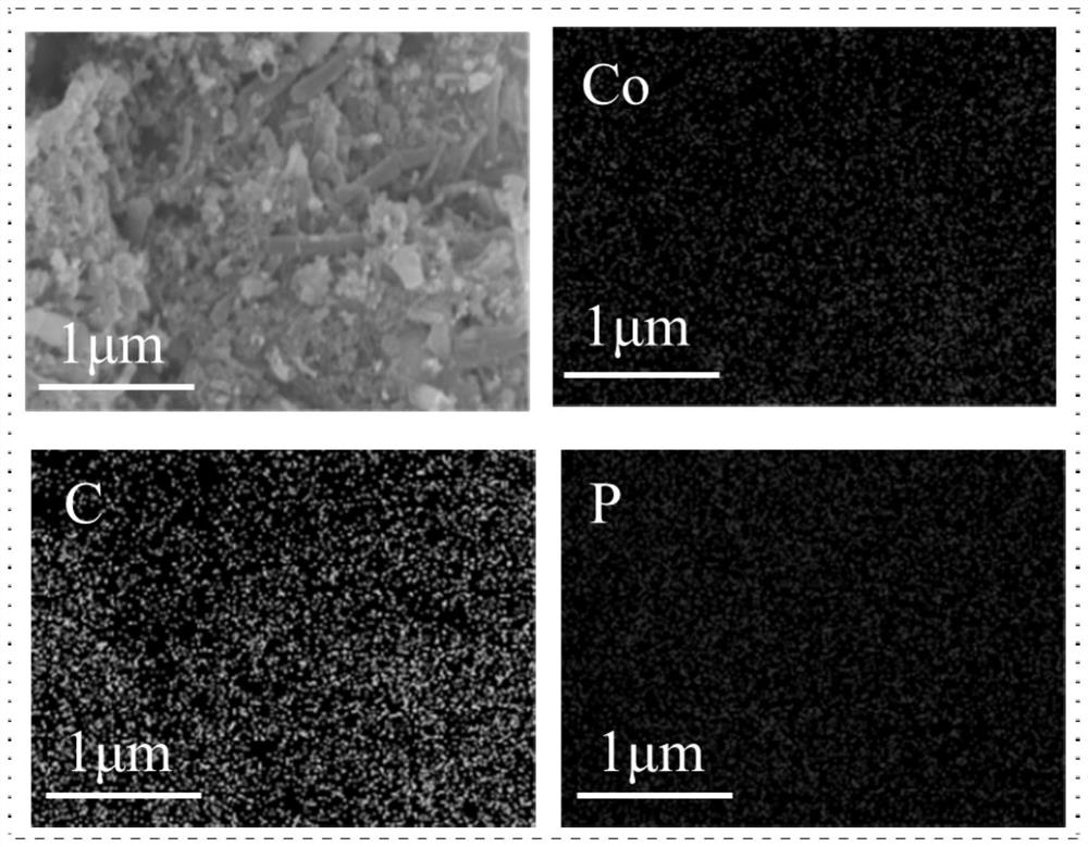 Cobalt disulfide/sulfide solid electrolyte composite positive electrode material coated with carbon nanotubes, and preparation method and application thereof