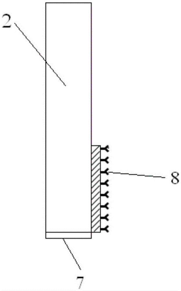 A kind of portable probe type surface plasmon resonance biosensor and its preparation and detection method