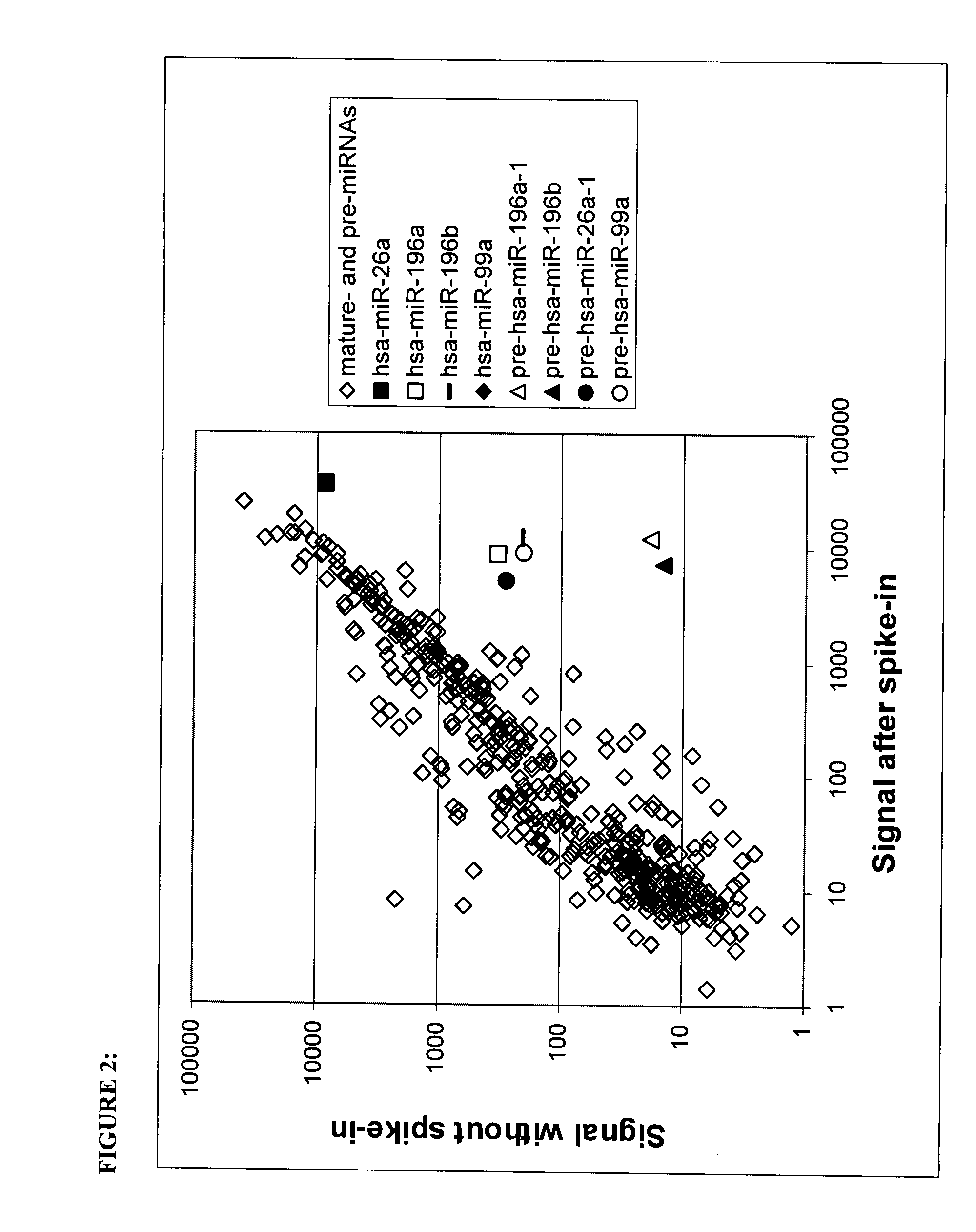 Oligonucleotide probes useful for detection and analysis of microRNA precursors