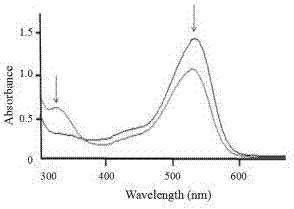 Preparation method of anthocyanin standard