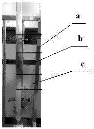 Preparation method of anthocyanin standard