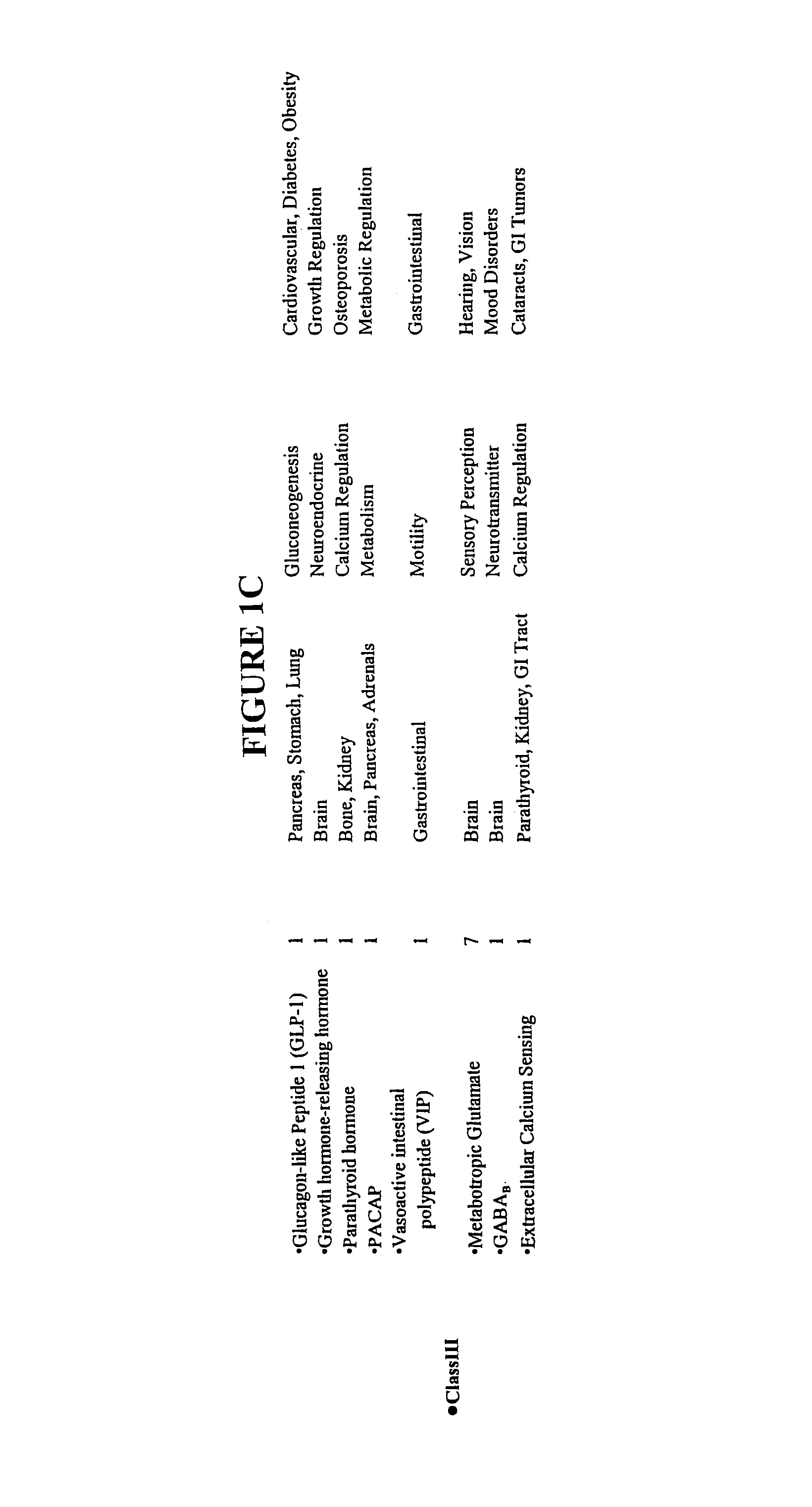 Modified G-protein coupled receptors