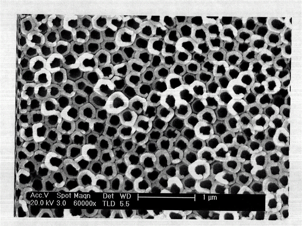 Functionalized artificial joint with selenium-loaded nanotube array surface and preparation method thereof