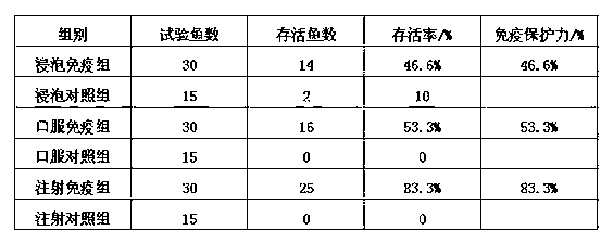 Preparation method and use method of loach aeromonas sobria vaccine