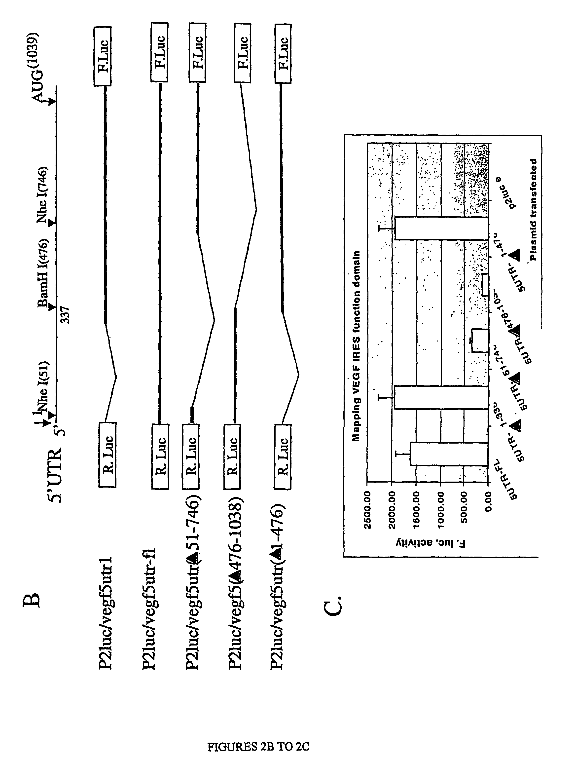 Methods for identifying compounds that modulate untranslated region-dependent gene expression and methods of using same