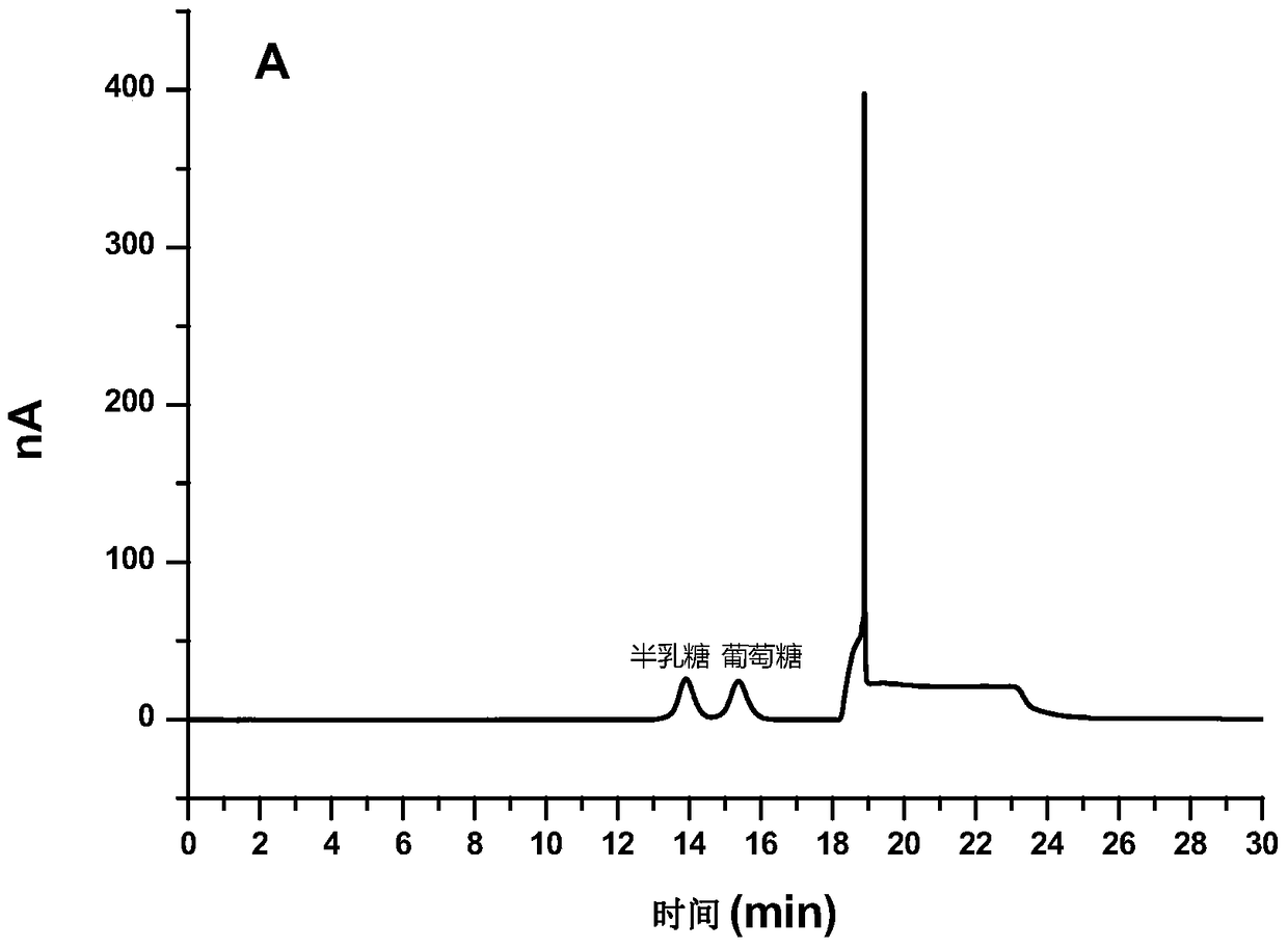 A kind of detection method of yeast beta-glucan in milk or dairy products