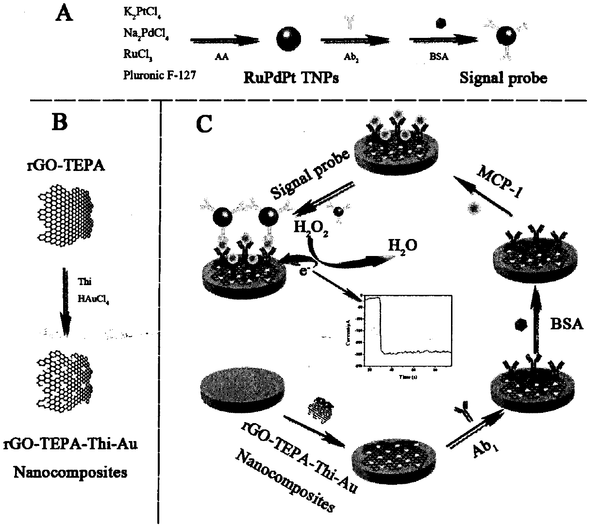 Preparation method of novel electrochemical biosensor for detecting monocyte chemoattractant protein-1