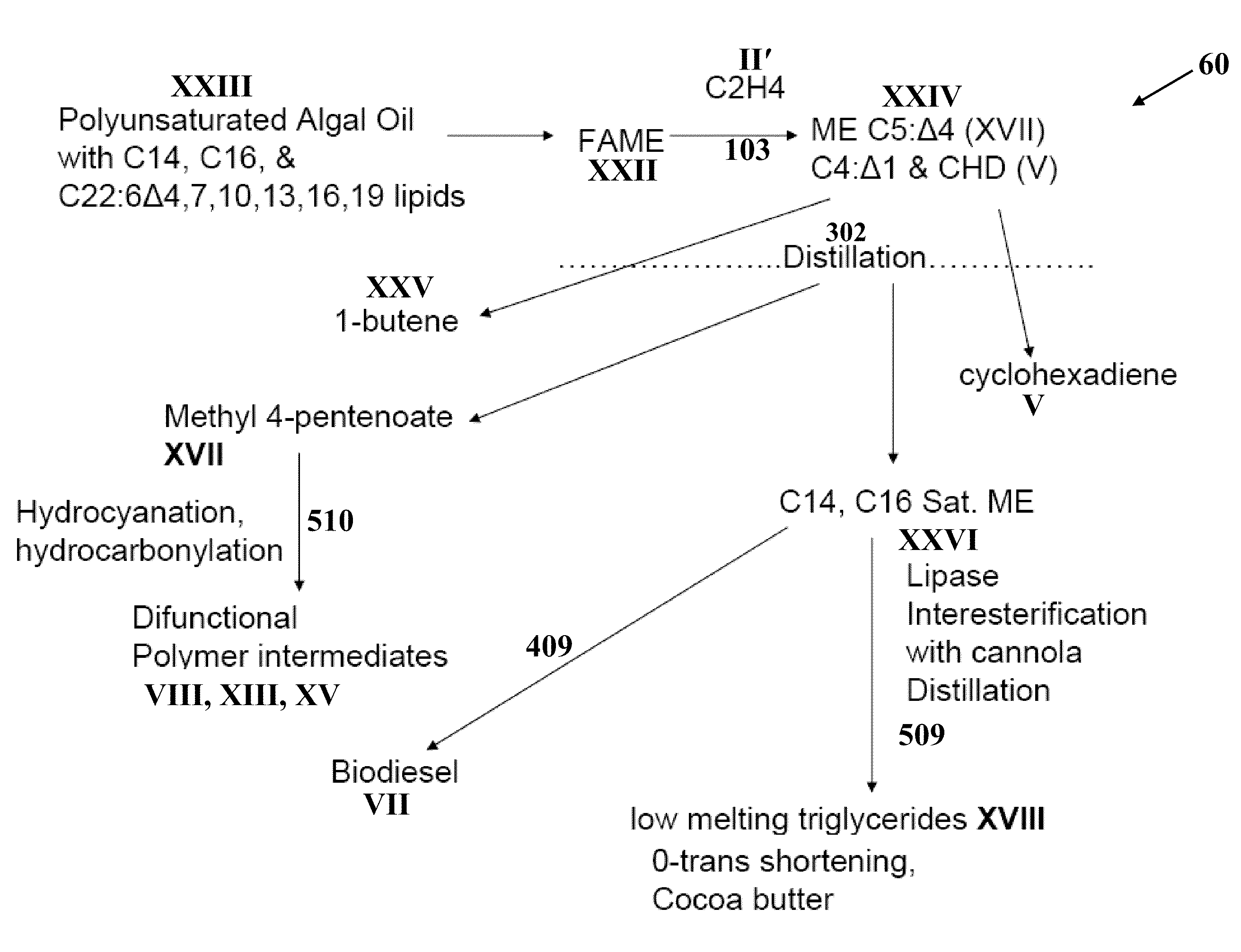 Chain-selective synthesis of fuel components and chemical feedstocks