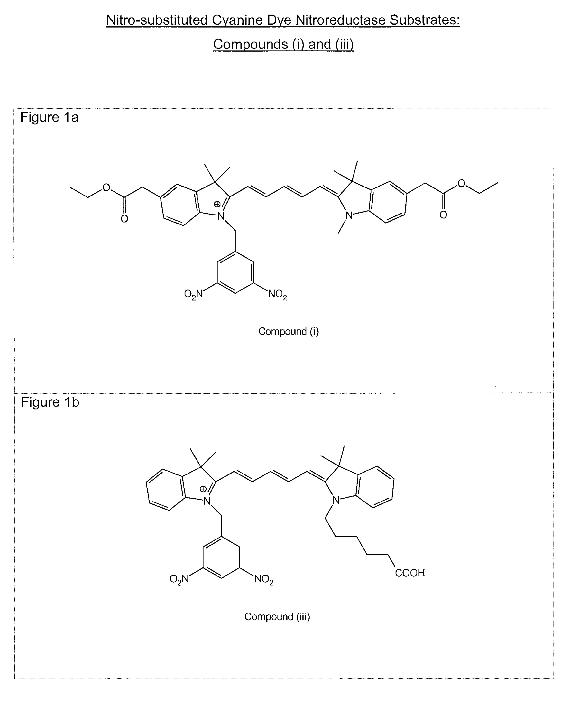 Method and reagent for measuring nitroreductase enzyme activity