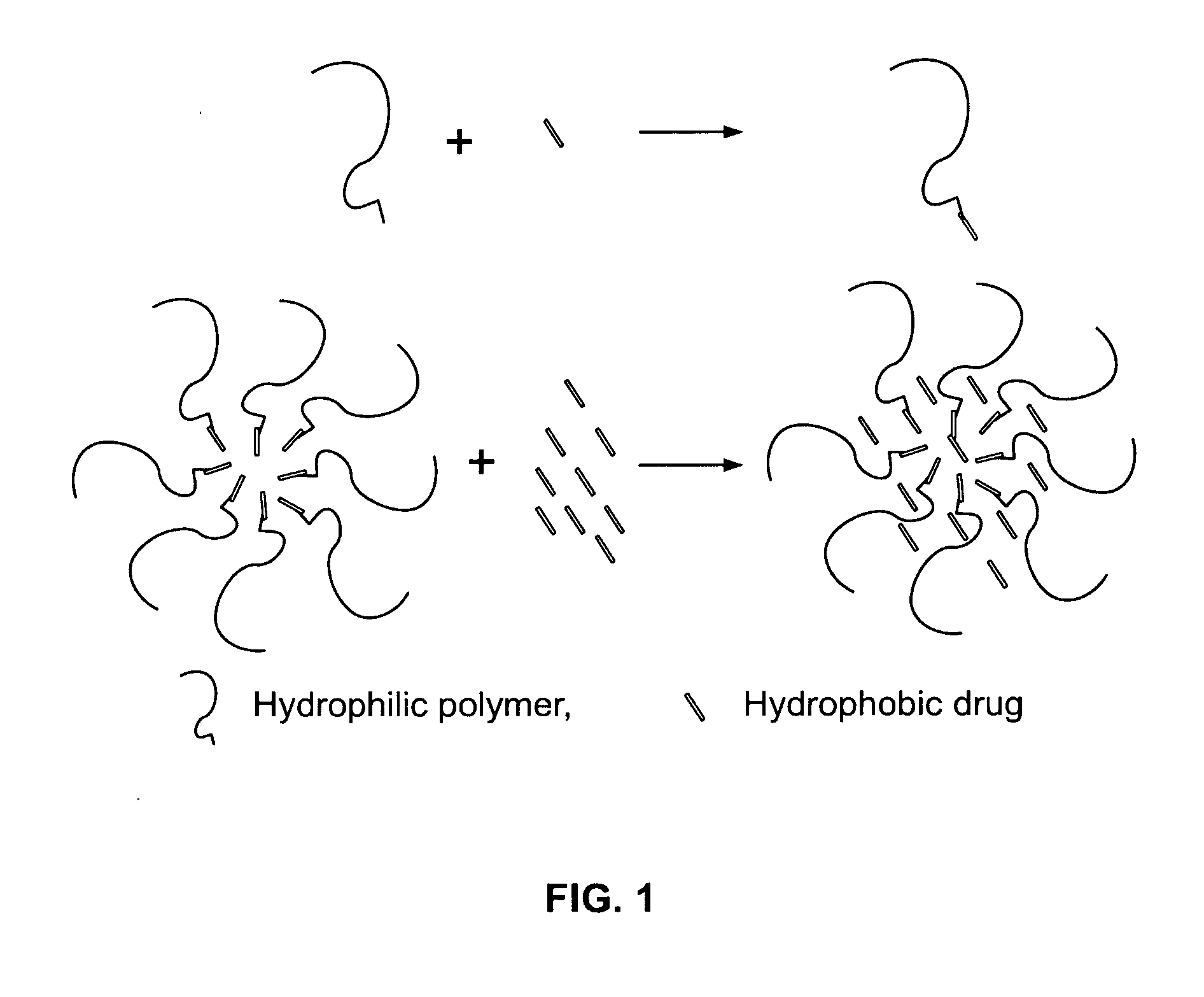 Oral delivery system comprising a drug/polymer complex