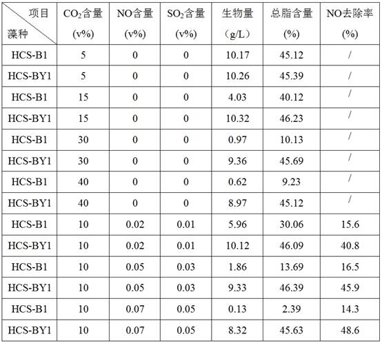 Grease-rich streptozotoci and culture application thereof