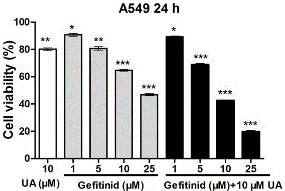 Pharmaceutical composition containing small-molecule targeted drug gefitinib and application of pharmaceutical composition to preparation of antitumor drugs