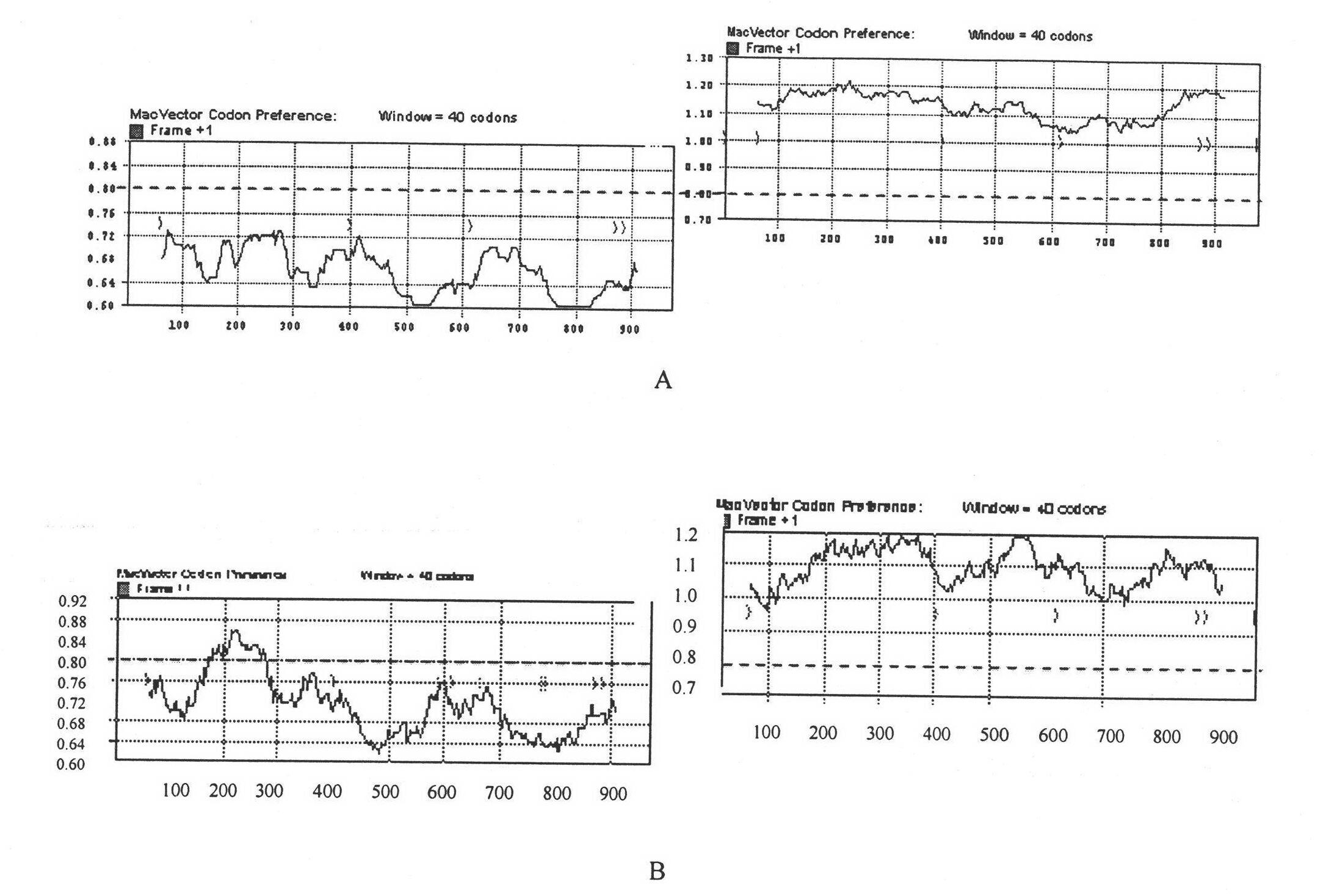 Clostridium difficile exotoxin A carboxy-terminal gene sequence with optimized codon and nucleic acid vaccine thereof