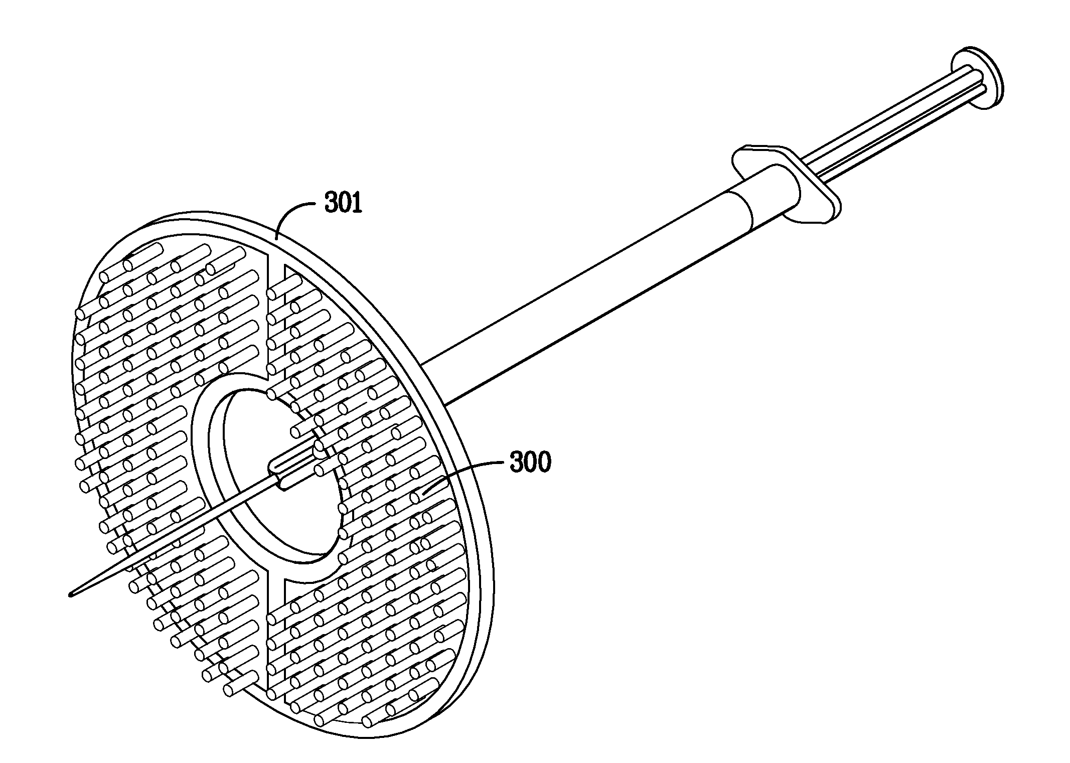 Variable current density single needle electroporation system and method