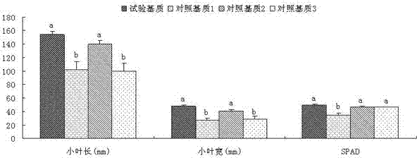 A Soilless Organic Waste Substrate Suitable for Raising Rubber Tree Seedlings