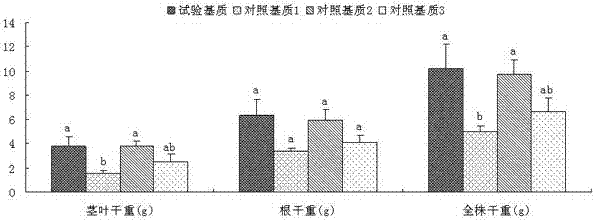 A Soilless Organic Waste Substrate Suitable for Raising Rubber Tree Seedlings