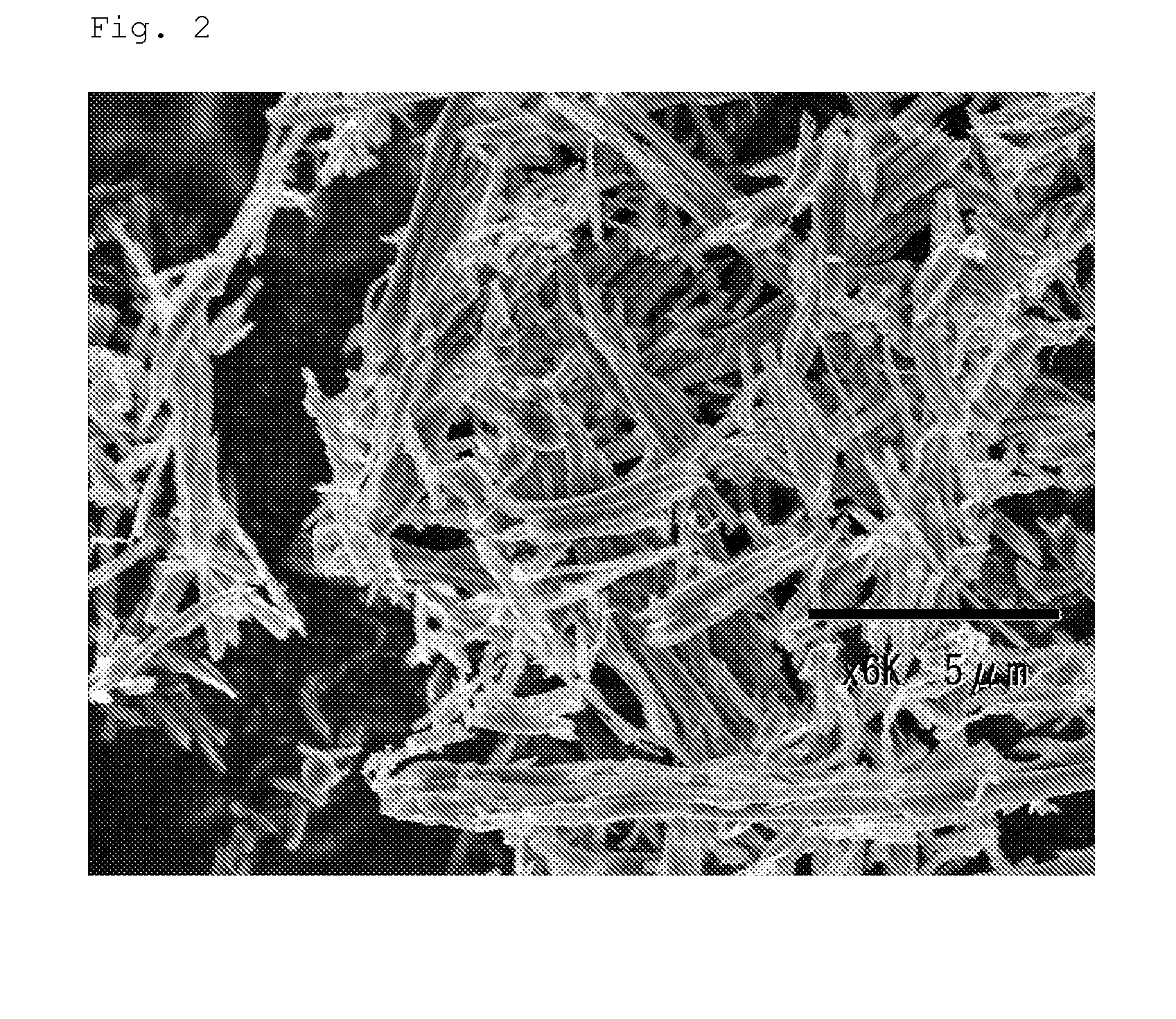 Carbon fiber and method for producing the same