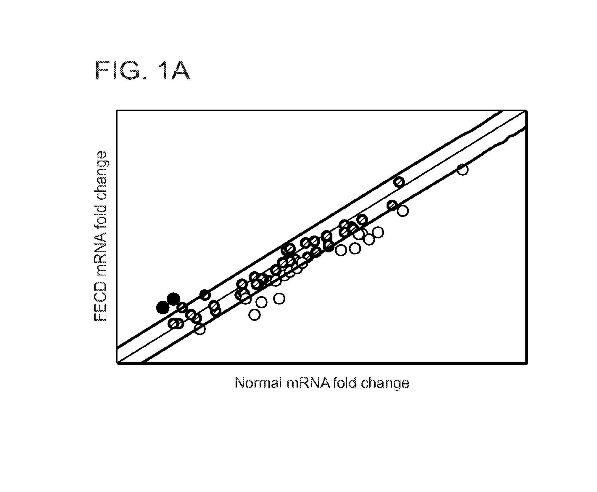 Compositions and Methods of Treatment of Corneal Endothelium Disorders