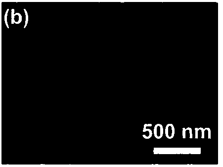 Chromium-doped barium stannate nanoporous film with adjustable band gap width and preparation method thereof