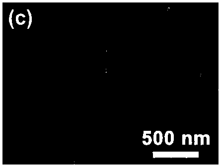 Chromium-doped barium stannate nanoporous film with adjustable band gap width and preparation method thereof