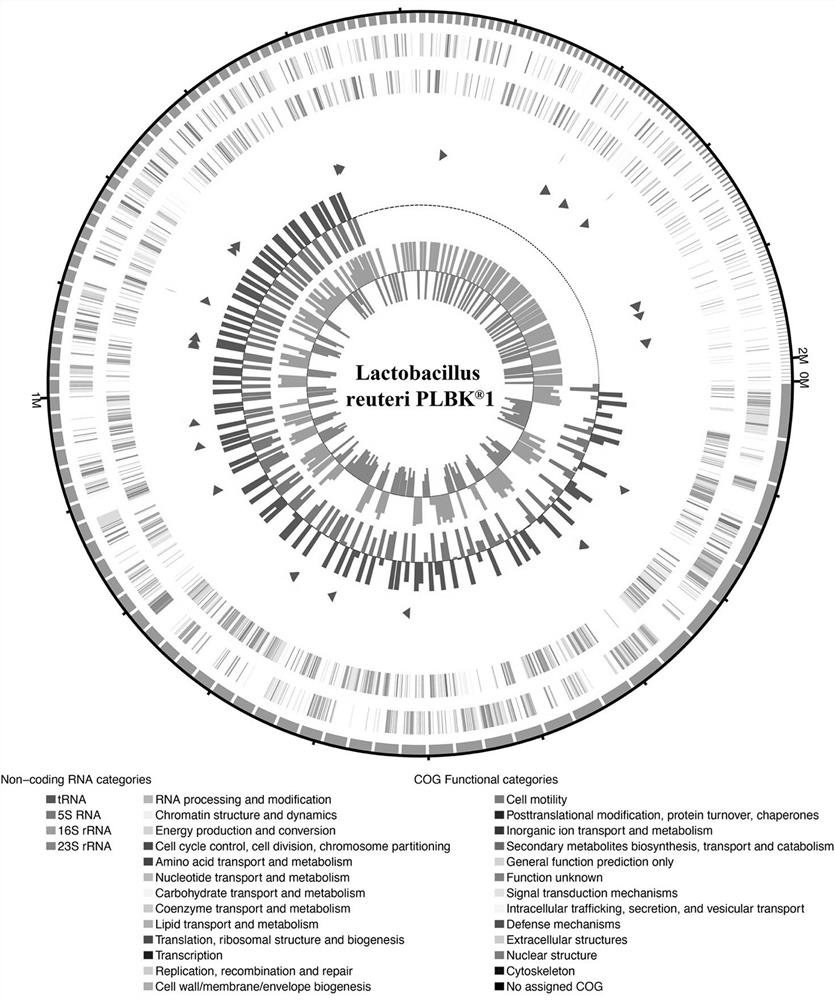 Probiotics for relieving metabolic syndrome as well as metabolite formula and application thereof