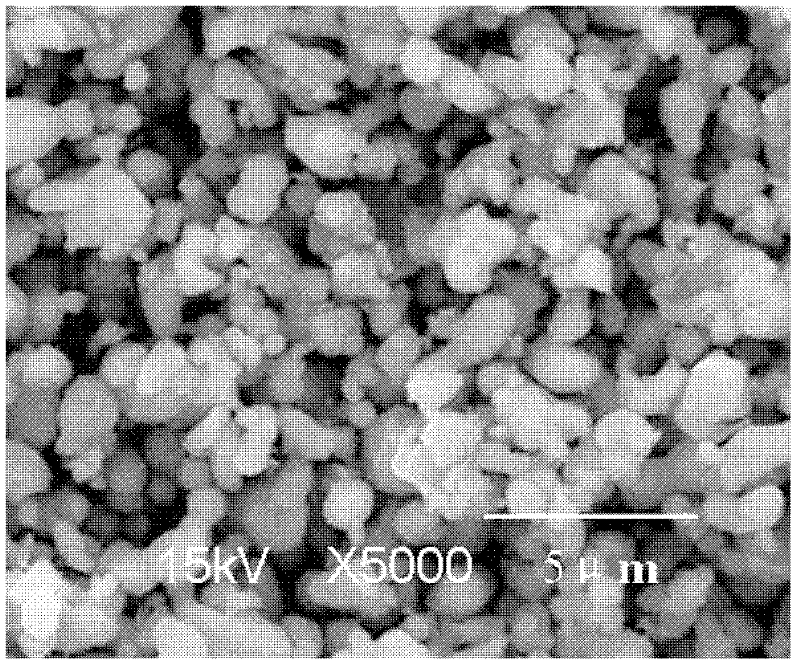 Preparation method for modified LiFePO4 lithium ion battery anode material