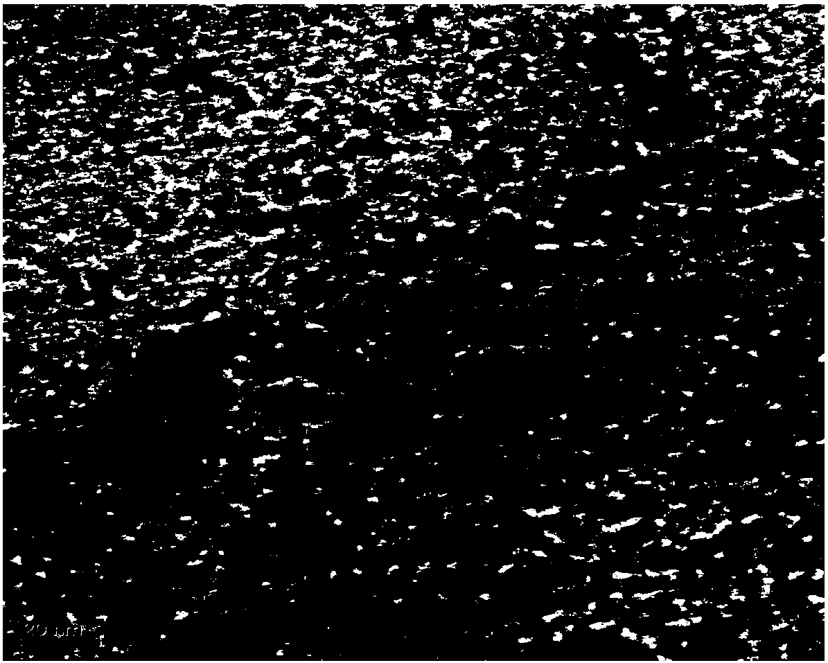 Polyolefin lithium battery diaphragm and preparation method thereof