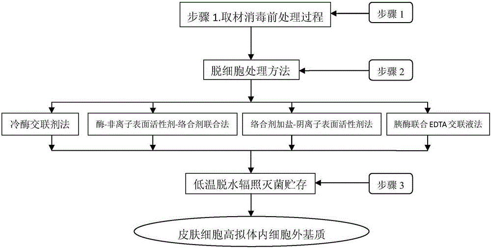 In-vitro screening and culturing method for tissue engineering skin seed epidermal keratinocyte high-simulation in-vivo cell extracellular matrix attachment